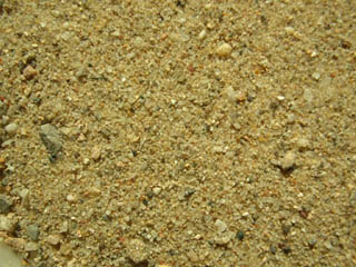Playa de Barnejo